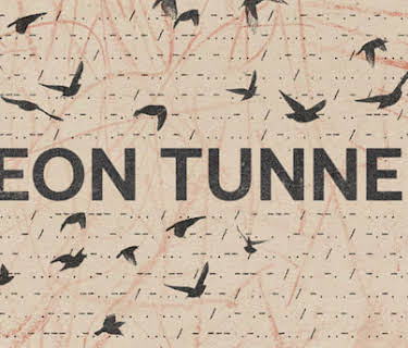 The Pigeon Tunnel (2023)
