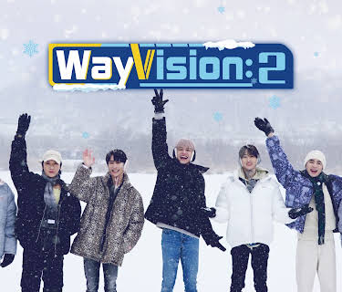 WayVision 2