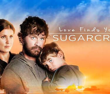 Love Finds You In Sugarcreek (2014)