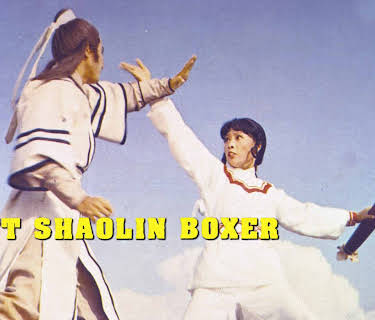 Swift Shaolin Boxer (1979)