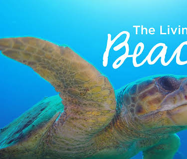 The Living Beach