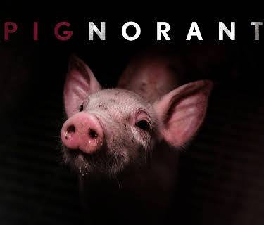 Pignorant (2024)