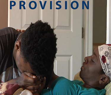 Provision (2017)
