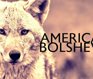 American Bolshevik (2023)