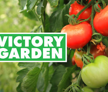 The Victory Garden: Season 33