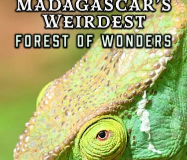 Madagascar's Weirdest: Forest of Wonders (2020)