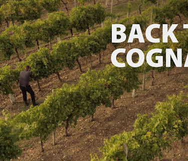 Back to Cognac (2020)