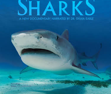 This Is Your Ocean: Sharks (2012)