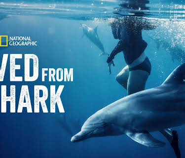 Saved from a Shark (2023)