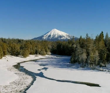 Winter Wonderland (2022)