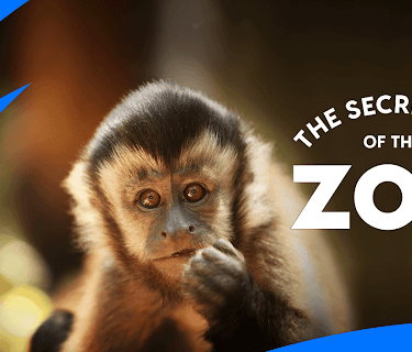 The Secret Life Of The Zoo Season 1