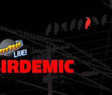 RiffTrax Live: Birdemic (2012)