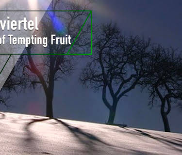 Mostviertel - Trees of Tempting Fruit (2001)