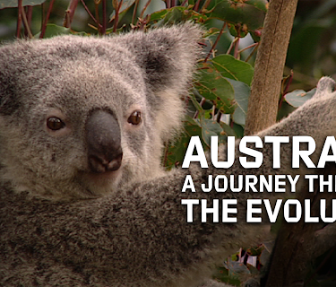 Australia: A Journey Through the Evolution (2014)