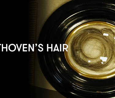 Beethoven’s Hair (2008)