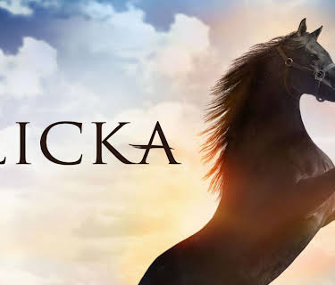 Flicka (2006)