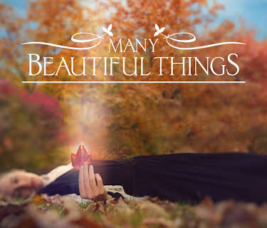 Many Beautiful Things (2016)