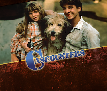 Casebusters (1986)