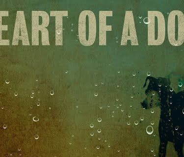 Heart of a Dog (2016)