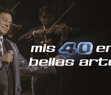 Mis 40 En Bellas Artes (2014)