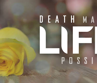 Death Makes Life Possible (2013)