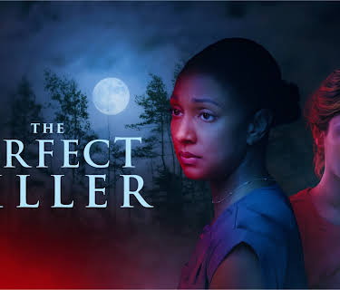 The Perfect Killer (2025)