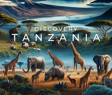 Discovery Tanzania (2024)