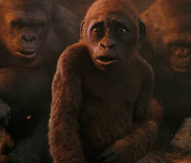 Suko: The Rise of Mini-Kong (2024)