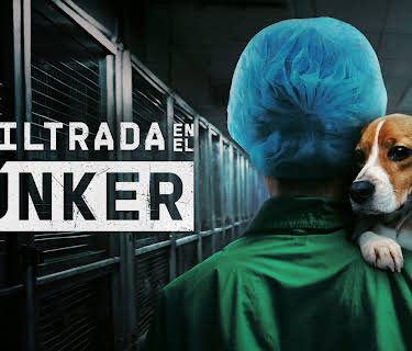 Undercover. Inside the bunker (2025)