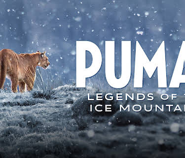 Pumas: Legends of the Ice Mountains (1982)