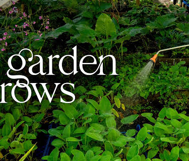 As the Garden Grows