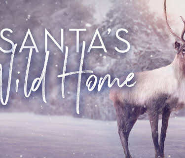 Santa's Wild Home (1982)