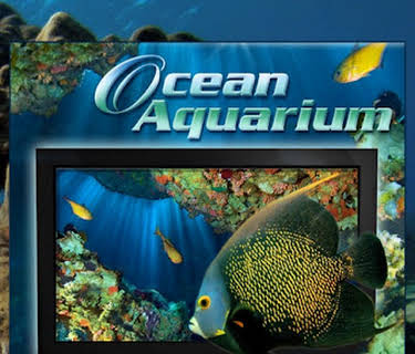 Ocean Aquarium (2012)