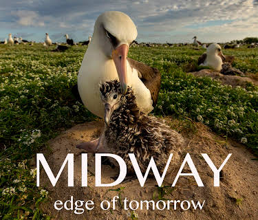 Midway: Edge of Tomorrow (2017)