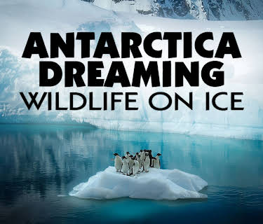 Antarctica Dreaming: Wildlife on Ice (2012)