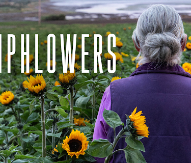 Sunphlowers (2025)