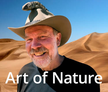 The Art of Nature