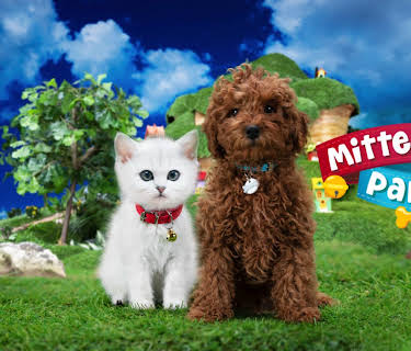 Mittens and Pants