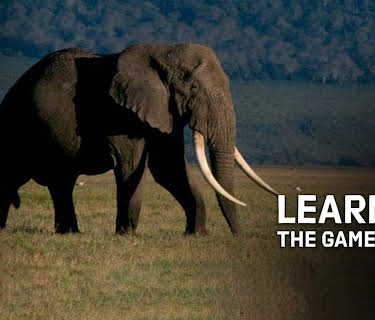 Learning the Game of Life (2005)