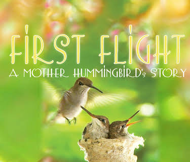 First Flight: A Mother Hummingbird's Story (2009)