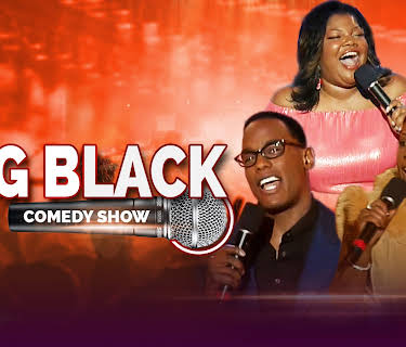 Big Black Comedy Show Part 2, The (2005)