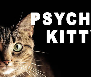 Psycho Kitty