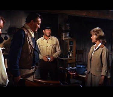 The Sons of Katie Elder (1965)