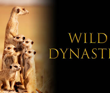 Wild Dynasties
