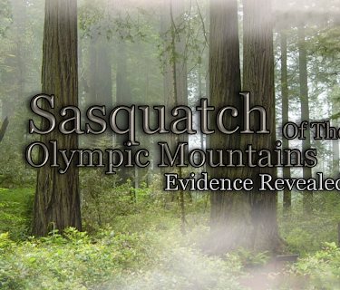 Sasquatch of the Olympic Mountains: Evidence Revealed (2018)