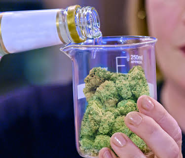 Cooked with Cannabis