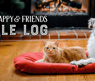 A Happy & Friends Yule Log (2019)