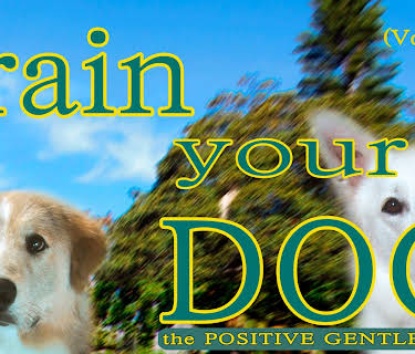 Train Your Dog - The Positive Gentle Method (Vol. 2) (2003)