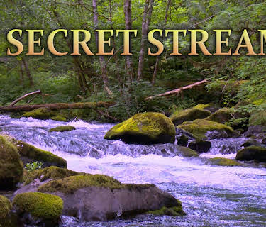A Secret Stream (2019)