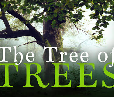 The Tree of Trees (2026)